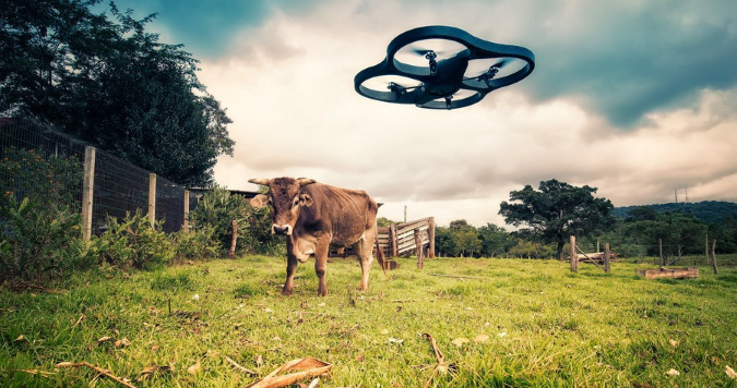 Drone/ UAV flying near to a cow - EASA are planning Europe Wide Regualtory Framework for the Operation of Drones