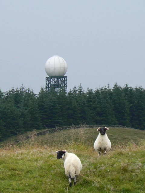 great big golf ball