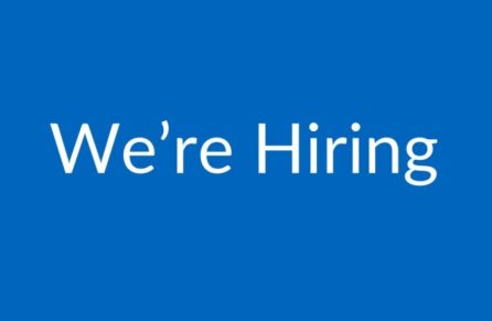 technical analyst