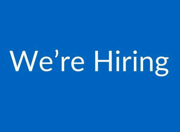 technical analyst