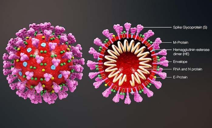 coronavirus caused by 5g