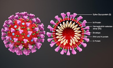 coronavirus caused by 5g