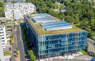 building for wildlife