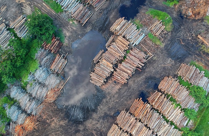 Woodpiles resulting from deforestation