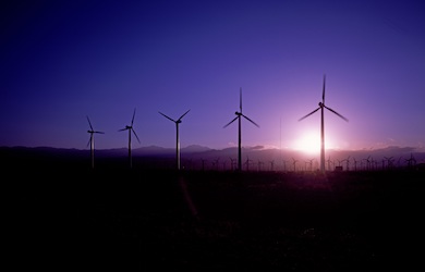 California Wind Farm