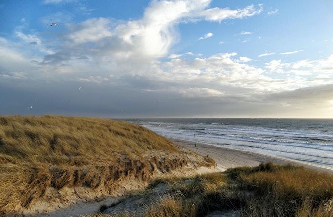 Sand Dunes With North Sea