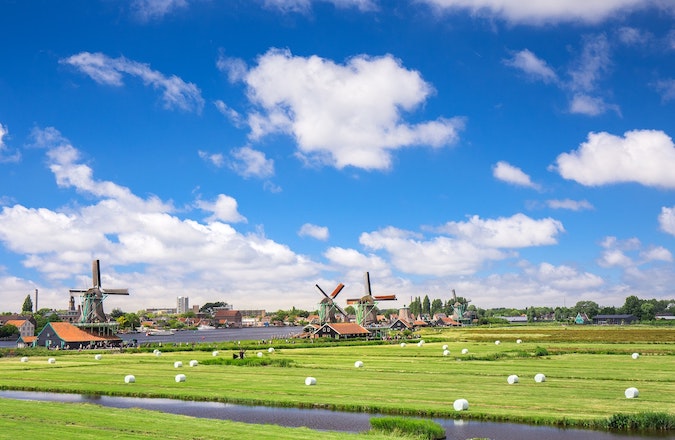 Green grass field in Amsterdam