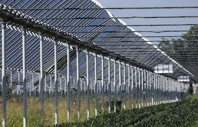 Agrivoltaic systems with fixed solar panels on agricultural greenhouses