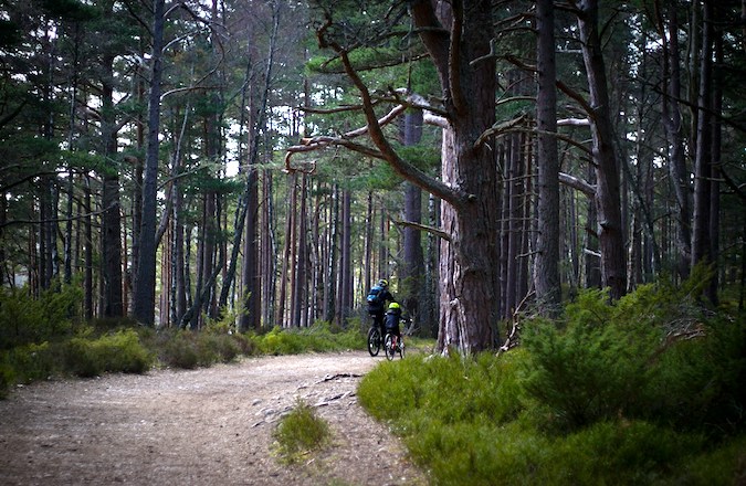 Family cycling through Cairngorms National Park