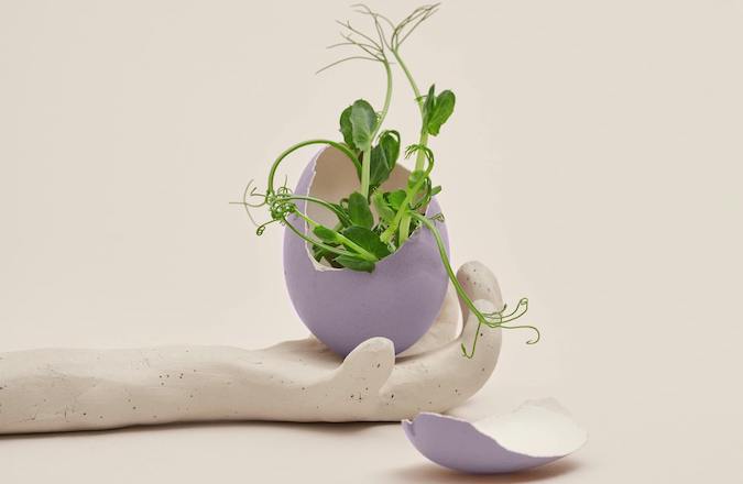 Cracked eggshell with new life growing in a clay hand