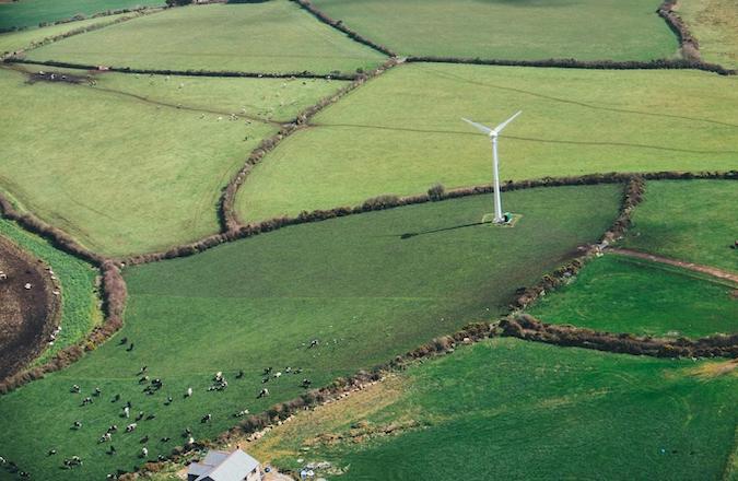 Wind turbine in a field