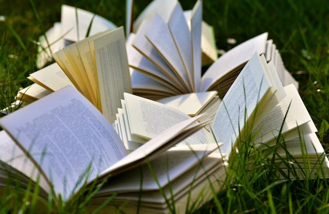 Books on grass