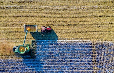 harvesting crops