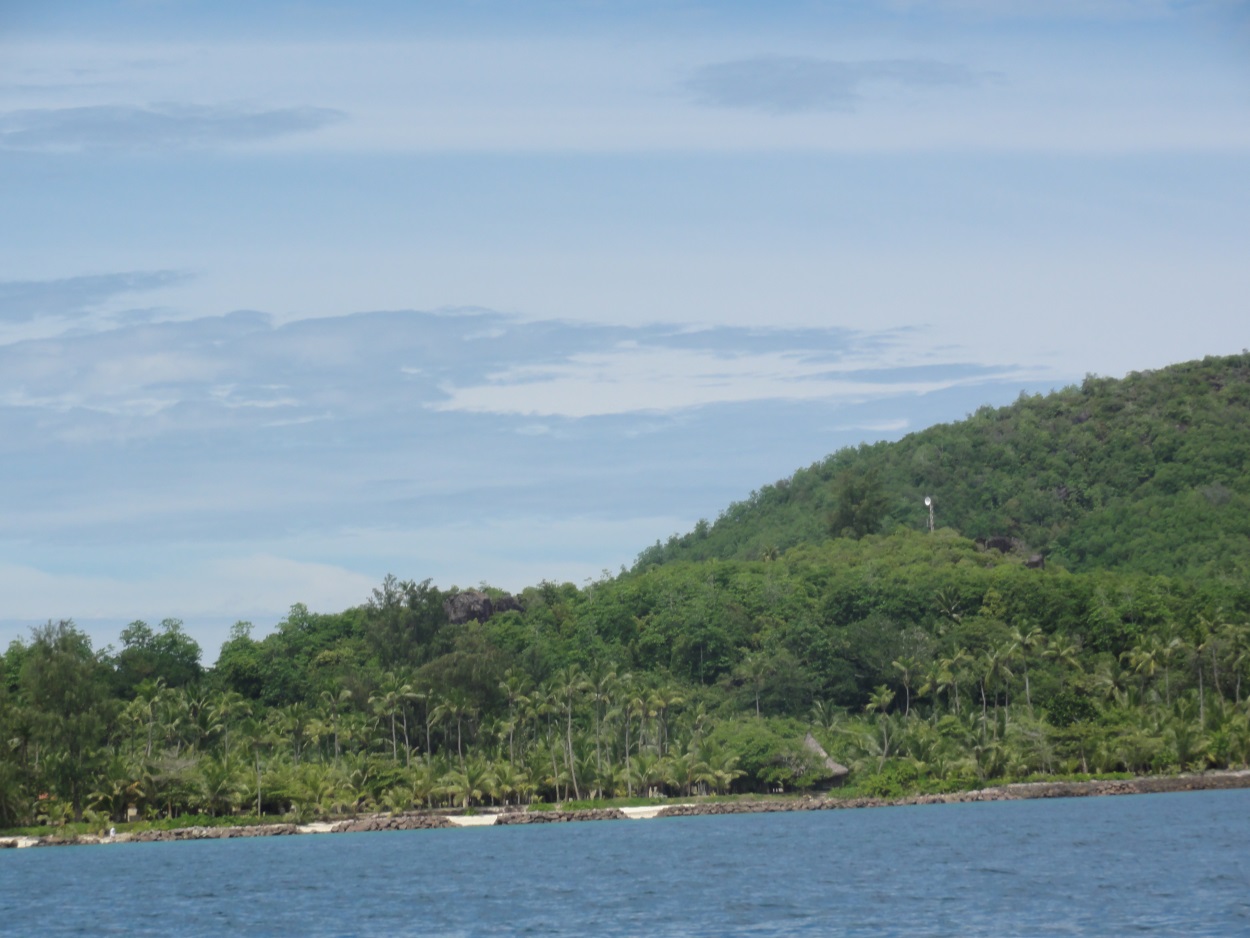 Figure 3: Wireless microwave link in a remote location