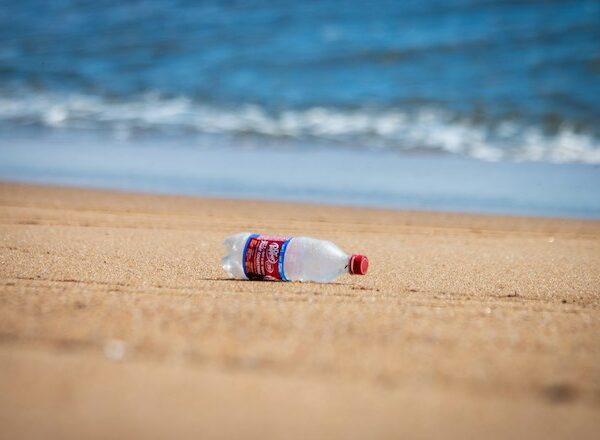 Global plastic talks