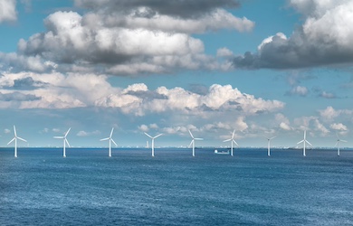 US Government Scrap wind project