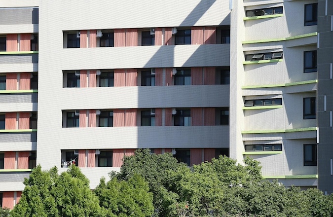 daylight sunlight impacts