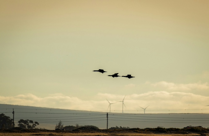 China Floating Wind Turbines