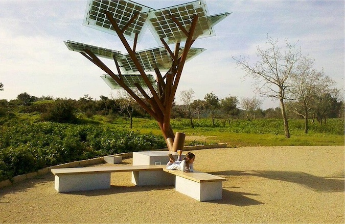 solar trees