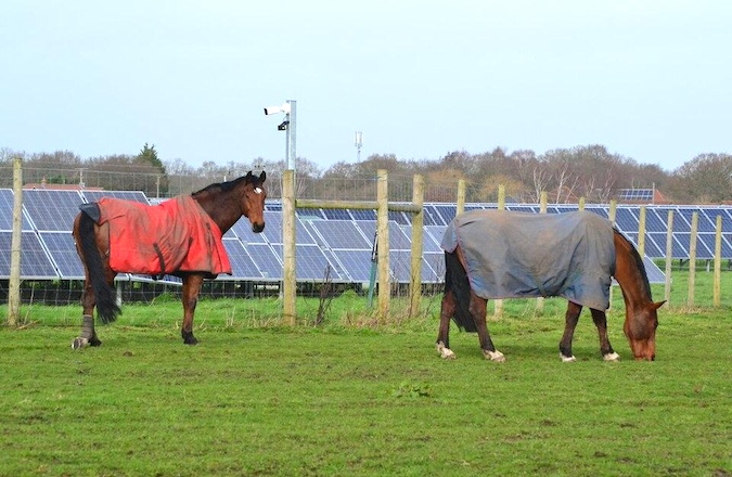 British Horse Society Glint and Glare Guidance