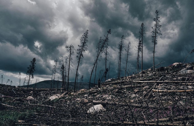 El Niño renewables