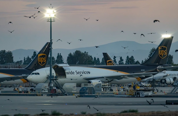 wildlife aviation